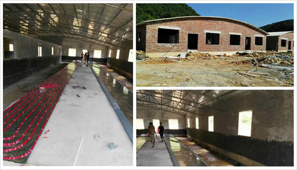 空氣能養(yǎng)豬